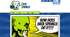 Desktop Screenshot of datasprings.com